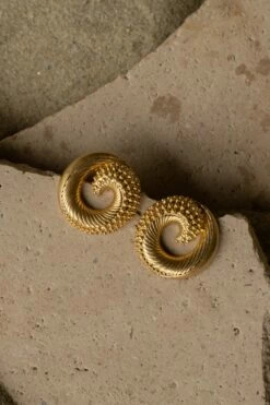 Gold Nova Earrings