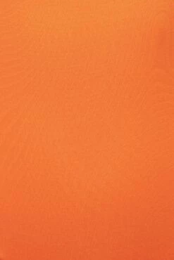 Jluxbasix Tangerine Bethie Scoop Long Sleeve Bodysuit 15 Jluxbasix Tangerine Bethie Scoop Long Sleeve Bodysuit -Jluxlabel Shop PRODUCT SEPT192022 MISSING 47