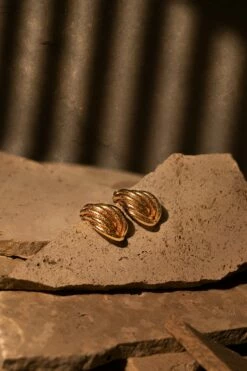 Gold Starstruck Stud Earrings